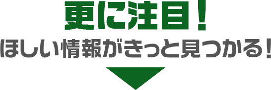 さらに注目!
