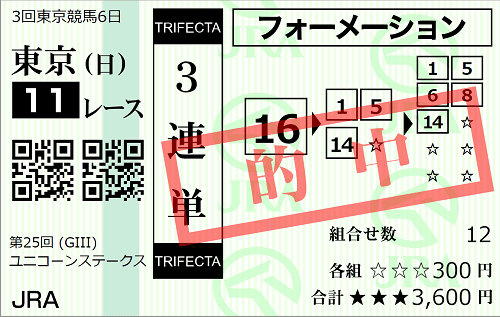 6/21東京11R 的中馬券