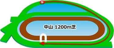 中山競馬場 芝1200m