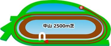 中山競馬場 芝2500m