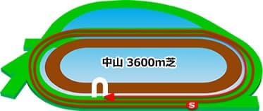 中山競馬場 芝3600m