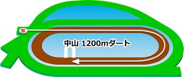 中山競馬場 ダート1200m